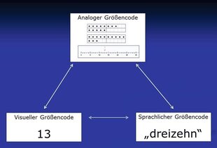 Triple-Code Modell (Dehaene, 2012)