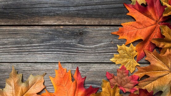 Herbsttagung