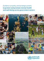 Guidance on policy and strategic actions to protect and promote mental health and well-being across government sectors