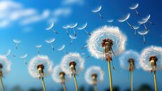 Klarheit, Quelle: Freepik.com