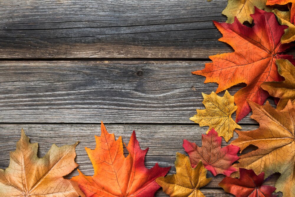Herbsttagung